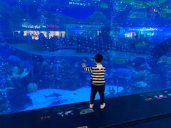 -成都浩海立方海洋公园