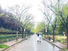 -洛阳市隋唐城遗址植物园