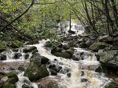 -青峰峡国家森林公园