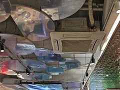 -探窝·竹笙椰子鸡(杨箕店)