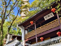 -江心屿景区