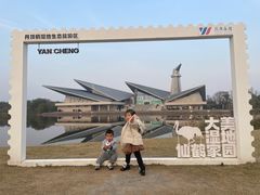 -盐城丹顶鹤湿地生态旅游区