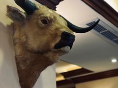 -摩根扒房(桐梓林店)