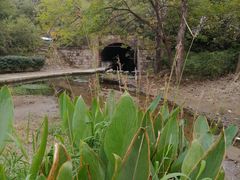 -白水寺森林公园