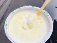 -德禄酸奶(莫家街店)