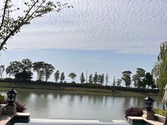 -苏州湾·王焰温泉