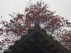 -佛山市祖庙博物馆