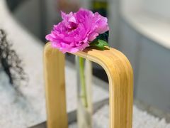 -上海辰山植物园
