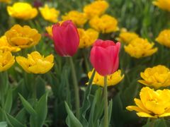 -长春公园(普阳街道)