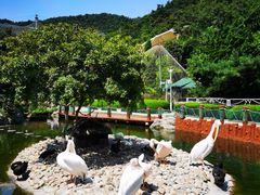 -大连老虎滩海洋公园