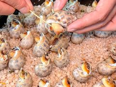 -巽寮印象美食部落餐厅·海鲜·地方特色菜(惠州体验店)