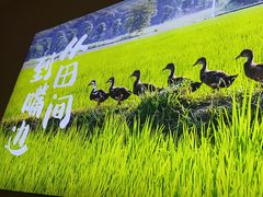 -杨厨的田园饭店(长城路店)