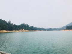 -广州市流溪河国家森林公园