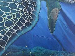 -海合安武汉极地海洋公园