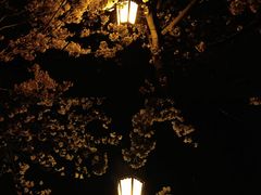 -东南大学(四牌楼校区)