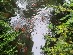 -成都杜甫草堂博物馆