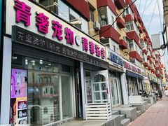 -青奢宠物·青奢猫舍