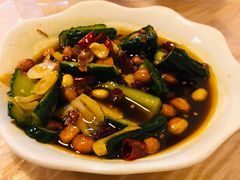 -龙小海荆沙鸽子店(瑞安街店)