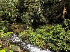 -海南热带雨林国家公园吊罗山景区