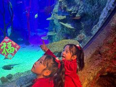 -沈阳海洋探索中心