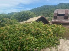 -海南槟榔谷黎苗文化旅游区