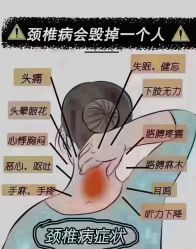 -香薇妮丝女子减肥院