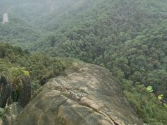 -南山植物园