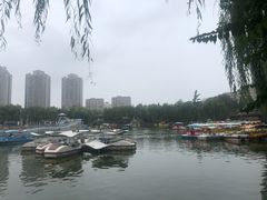 -团结湖公园