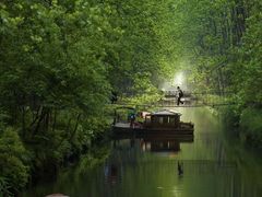 -合肥滨湖国家森林公园