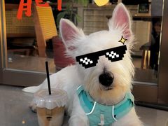 -YEEGIN COFFEE也径咖啡