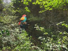-藏山旅游风景区