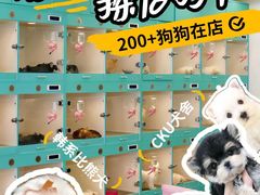 -萌宠之家·腊肠犬·马尔泰·小体犬舍