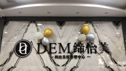-DEM缔怡美科技美容