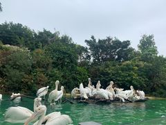 -珠海长隆海洋王国