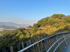 -福道