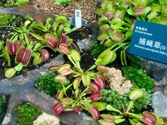 -国家植物园南园