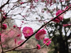 -成都杜甫草堂博物馆