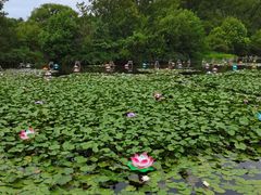 -白马涧龙池景区