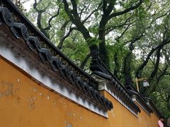 -普陀山风景名胜区-法雨禅寺