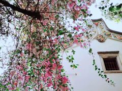 -深圳国际园林花卉博览园