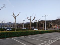 -崂山风景区-大河东游客中心