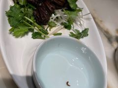 -情满四合院•京菜•烤鸭(动物园店)