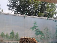 -石家庄市动物园