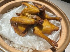 -大鸽饭(动物园店)