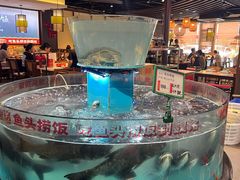 -魏铭鱼头捞饭(晋阳路店)