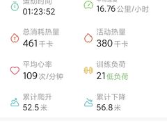 -丁香湖公园