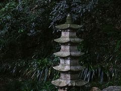 -杭州植物园