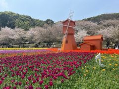 -苏州上方山国家森林公园