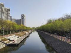 -大望京公园