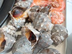 大锅蒸海鲜餐-大锅强·蒸海鲜青岛菜(金沙滩店)